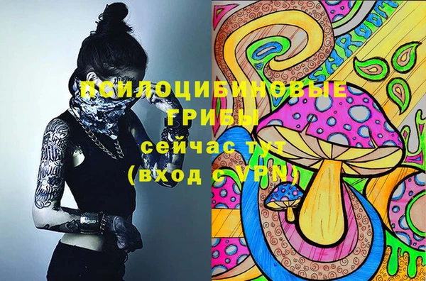 гидра Богданович