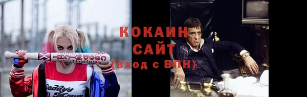 гидра Богданович