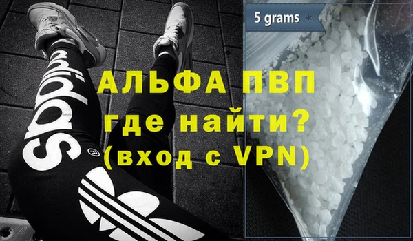 гидра Богданович