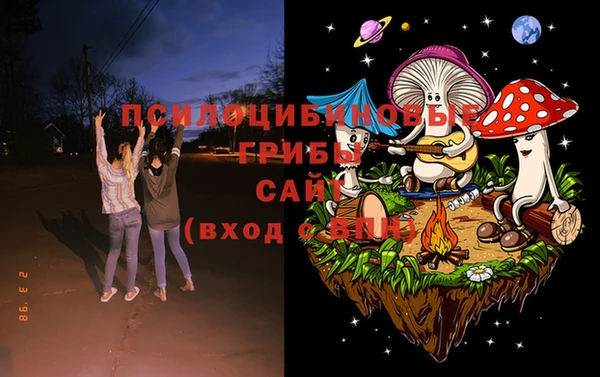 гидра Богданович