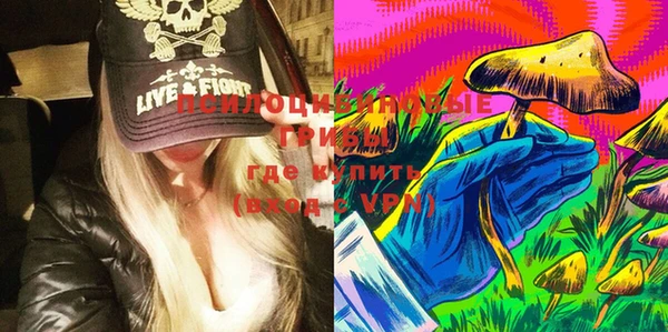 гидра Богданович
