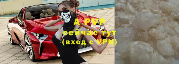 гидра Богданович